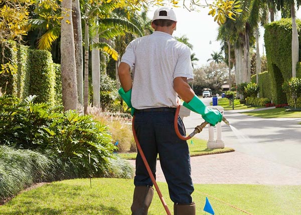 About Earlimart CA Pest Control